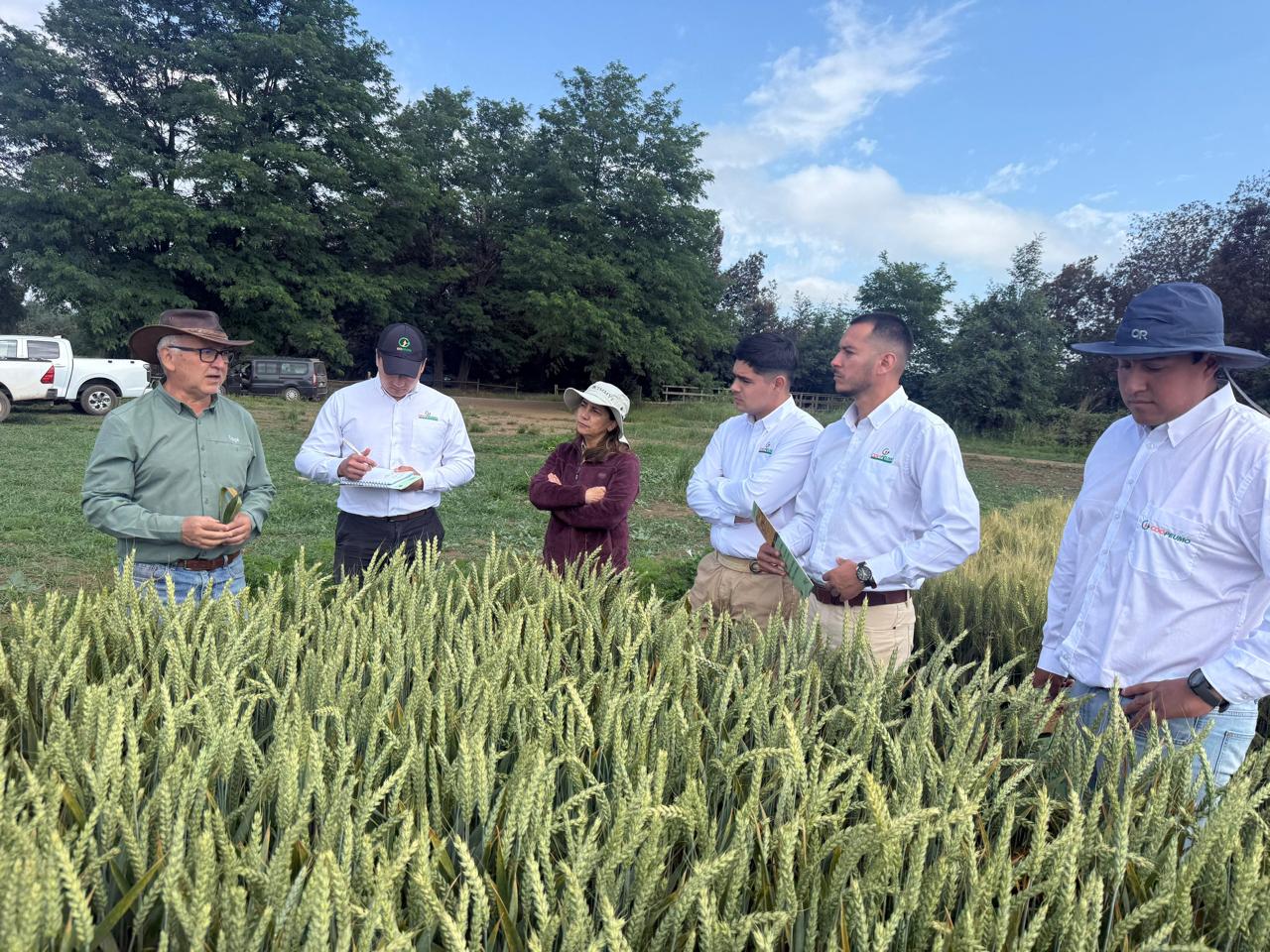 Maquinaria Agrícola